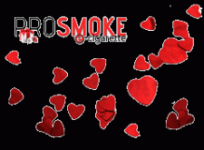 Valentines Day Savings at ProSmoke!